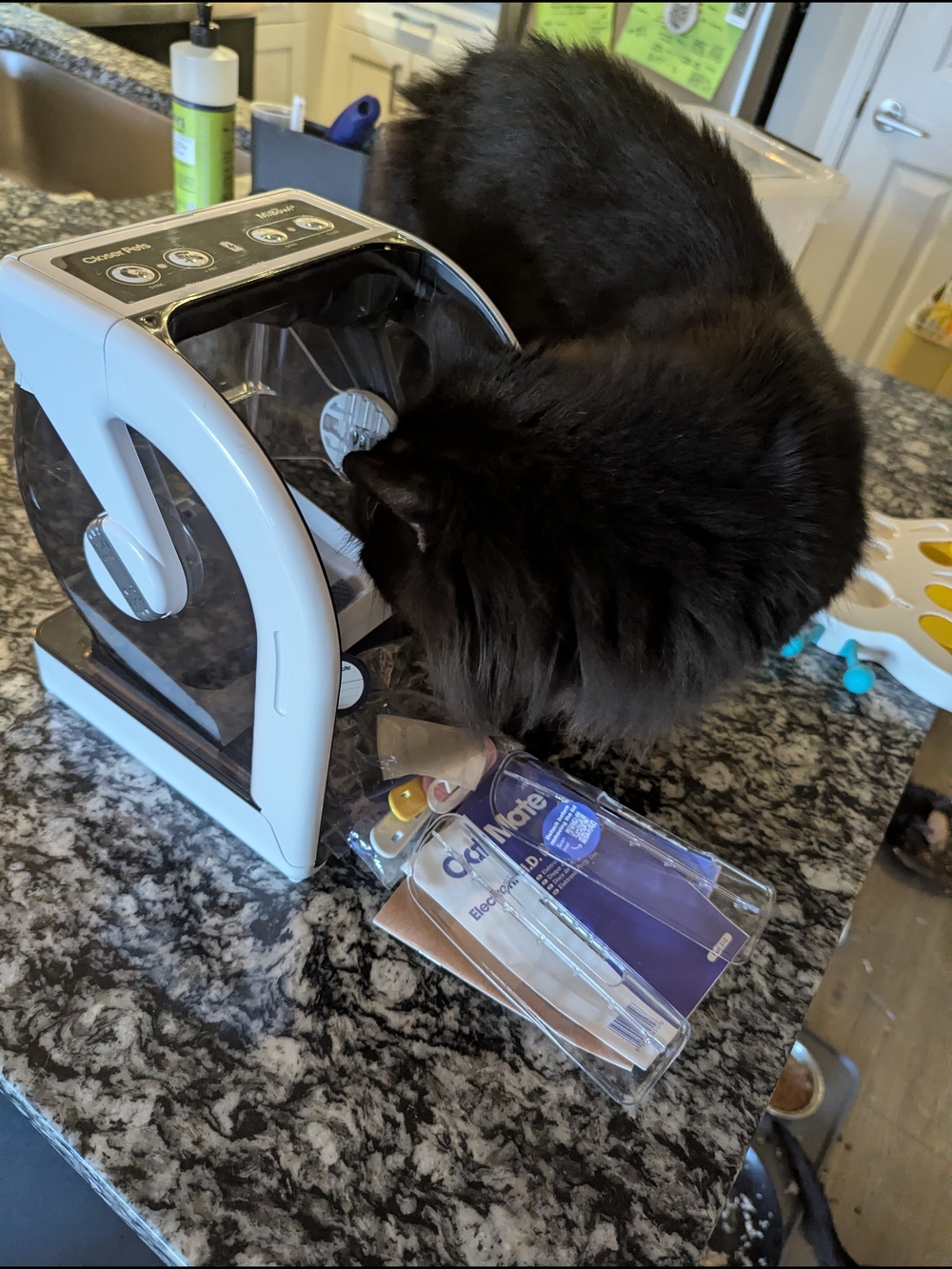 Closerpets Mibowl Microchip Cat And Small Dog Feeder - Picture 9 of 13